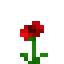 Poppy of Thorns