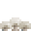 Wild White Mushroom