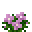 Magenta Wildflowers