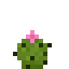 Tiny Cactus