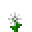 Dandelion Puff