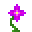 Mystical Magenta Flower