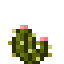 Olive Armed Cactus