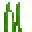 Tall Seagrass