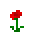 Poppy (Botany)