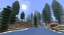 Snowy Coniferous Forest.png
