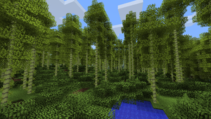 Bamboo Forest.png