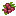 Raspberry (Pam's HarvestCraft)
